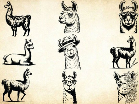 Llama Svg Bundle, Floral Animal Svg